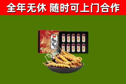 武陵源区回收冬虫夏草价格